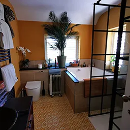 yellow bathroom with plant